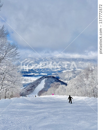 Skyline course at Nozawa Onsen Ski Resort on a sunny day 137772872