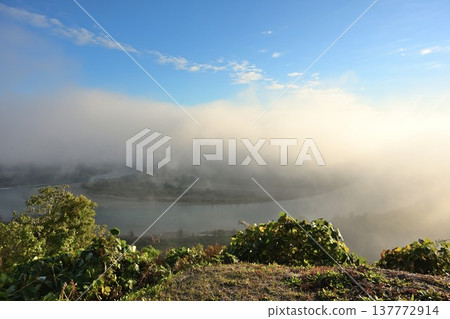 從山本山高原(新潟縣小千谷市)看到的信濃川和晨霧 從山本山高原(新潟縣小千谷市)看到的信濃川和晨霧 137772914