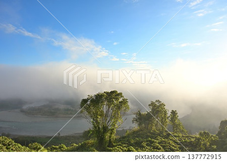 從山本山高原（新潟縣小千谷市）看到的信濃川和晨霧 137772915