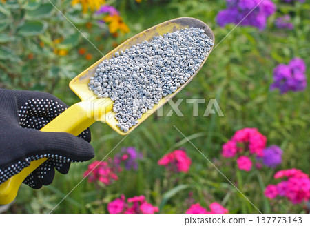 Garden seed green manure fertilizer manures compost. Hand with a shovel Garden seed green manure fertilizer manures compost. Hand with a shovel 137773143