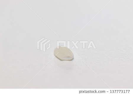 A single grain of rice against a white background 137773177