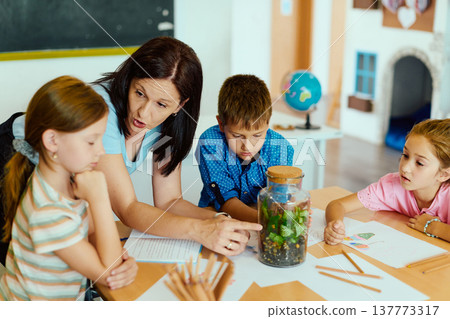 Teacher guiding children in classroom science activity examining a terrarium during group learning session Teacher guiding children in classroom science activity examining a terrarium during group learning session 137773317