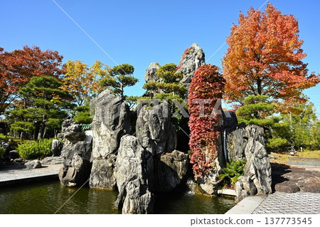 天壽園（新潟縣新潟市）中國園林的秋景 137773545