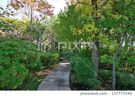 Autumn scenery of the Chinese garden at Tenjuen (Niigata City, Niigata Prefecture) 137773549