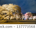 Mito Kairakuen Mito Kairakuen 137773568