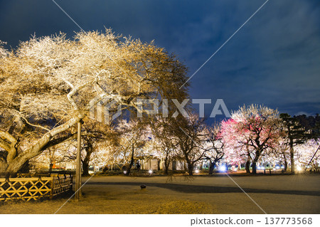 水戶Kairakuen 水戶Kairakuen 137773568