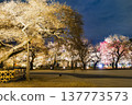 Mito Kairakuen Mito Kairakuen 137773573