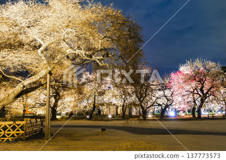 水戶Kairakuen 水戶Kairakuen 137773573