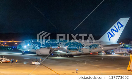 FLYING HONU during taxing 137773602