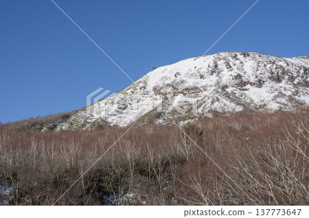 冬季景色，白雪皚皚的那須山脈和茶臼山在藍天的映襯下格外醒目（栃木縣那須町） 137773647
