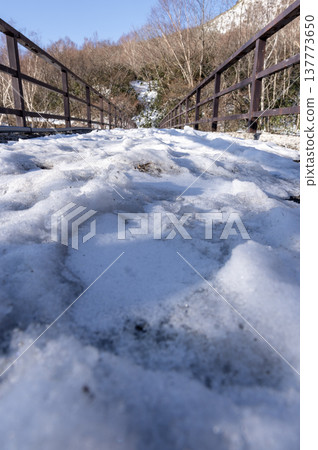 A bridge leading into a snow-covered forest and a winter walking path. A bridge leading into a snow-covered forest and a winter walking path. 137773650