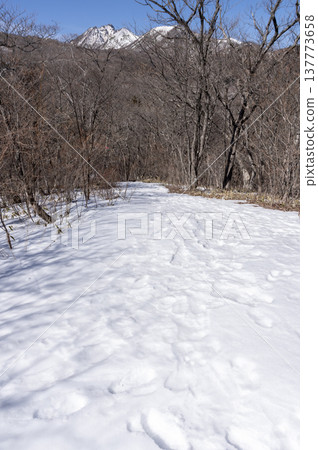 A winter view of the Nasu mountain range and Mt. Asahidake from a snow-covered hiking trail (Nasu Town, Tochigi Prefecture) 137773658