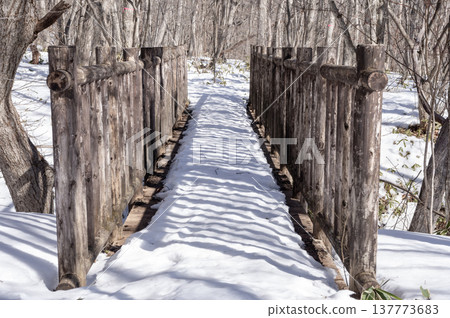 A snow-covered wooden bridge standing in the middle of the forest A snow-covered wooden bridge standing in the middle of the forest 137773683