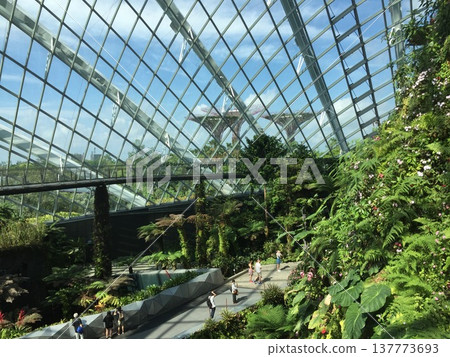 新加坡濱海灣花園的巨型玻璃圓頂和熱帶植物園 新加坡濱海灣花園的巨型玻璃圓頂和熱帶植物園 137773693