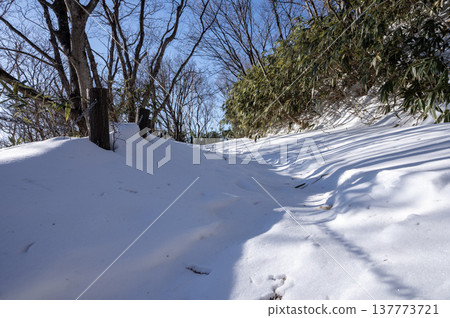 A bridge leading into a snow-covered forest and a winter walking path. 137773721