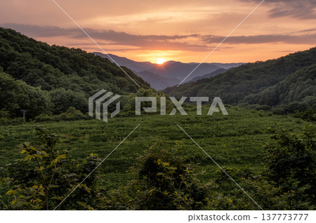 初夏時節，夕陽西下，落日餘暉灑在群山之後，鄉村呈現迷人的暮色。 137773777