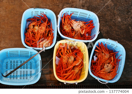 雪蟹被運到拍賣市場;拍賣市場的場景;雪蟹被拍賣;圖片素材。 雪蟹被運到拍賣市場;拍賣市場的場景;雪蟹被拍賣;圖片素材。 137774004