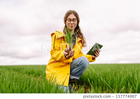 A young farmer woman in a yellow raincoat inspects a healthy plant crop in a green field A young farmer woman in a yellow raincoat inspects a healthy plant crop in a green field 137774007