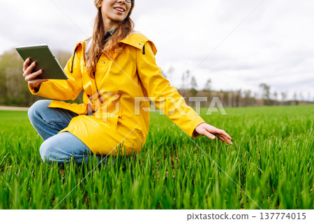 Woman farmer with tablet on field evaluates shoots, green wheat sprouts in field. Harvesting. 137774015