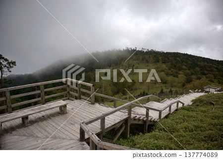 小台原的夏天:正木原的觀景台和霧氣繚繞的山景。 小台原的夏天:正木原的觀景台和霧氣繚繞的山景。 137774089