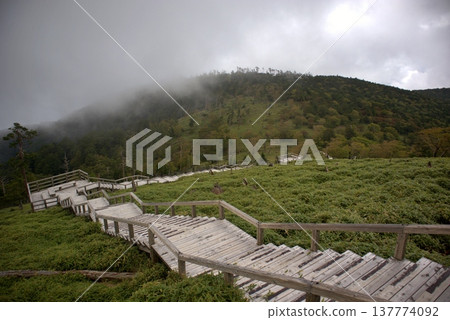 Summer in Odaigahara: The long boardwalk of Masakigahara and the misty mountains. Summer in Odaigahara: The long boardwalk of Masakigahara and the misty mountains. 137774092