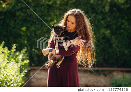 Bright sunlight, animal is in hands. Woman is with cute dog outdoors Bright sunlight, animal is in hands. Woman is with cute dog outdoors 137774126