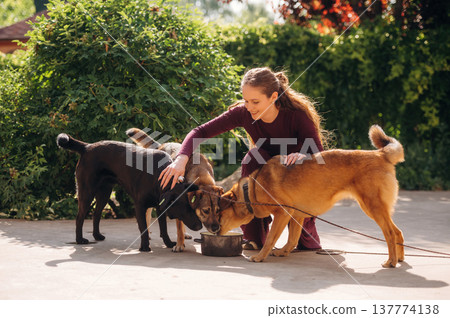 Eating the food. Woman is with dogs outdoors Eating the food. Woman is with dogs outdoors 137774138