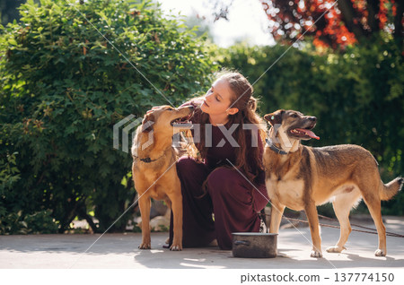 On the ground, playing, taking care. Woman is with dogs outdoors 137774150