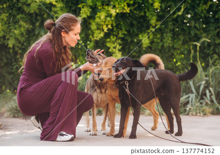 Friendly visit. Woman is with dogs outdoors Friendly visit. Woman is with dogs outdoors 137774152