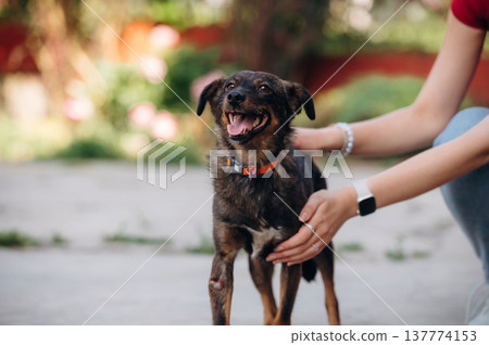 Woman in red clothes is with dog outdoors Woman in red clothes is with dog outdoors 137774153