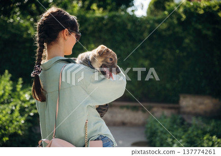 View from behind. Woman is standing and holding cute dog View from behind. Woman is standing and holding cute dog 137774261