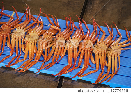 雪蟹被運到拍賣市場；拍賣市場的場景；雪蟹被拍賣；圖片素材。 137774366