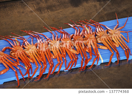 雪蟹被運到拍賣市場;拍賣市場的場景;雪蟹被拍賣;圖片素材。 雪蟹被運到拍賣市場;拍賣市場的場景;雪蟹被拍賣;圖片素材。 137774368