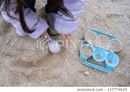 使用在沙盒的女孩 使用在沙盒的女孩 137774629