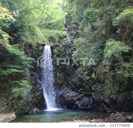 A natural landscape of waterfalls and clear streams in the forest. A natural landscape of waterfalls and clear streams in the forest. 137774909