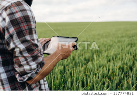 With digital tablet. Close up view of farmer's hands on the agricultural field With digital tablet. Close up view of farmer's hands on the agricultural field 137774981
