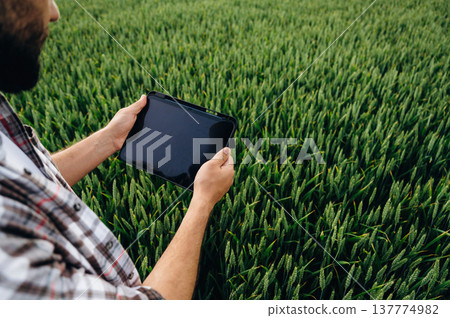 With digital tablet. Close up view of farmer's hands on the agricultural field With digital tablet. Close up view of farmer's hands on the agricultural field 137774982