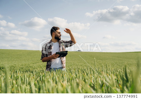 Covering the eyes from sunlight, looking far away. Man farmer is on the agricultural field 137774991