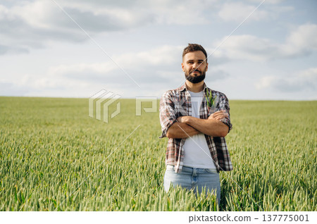 Standing with arms crossed. Man farmer is on the agricultural field 137775001