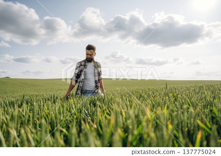 Rural non-urban scene, country business. Man farmer is on the agricultural field 137775024