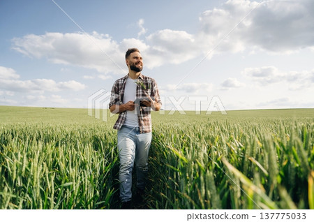 Man farmer is on the agricultural field Man farmer is on the agricultural field 137775033