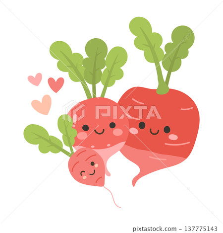Radish kawaii happy with young cartoon simple for art beetroot character. Mascot piece red radishes with radish turnip for cute vector illustration. Icon leaf radish with background young Radish kawaii happy with young cartoon simple for art beetroot character. Mascot piece red radishes with radish turnip for cute vector illustration. Icon leaf radish with background young 137775143