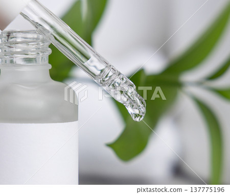 Glass pipette on cosmetic dropper bottle against green leaves and white towels, drop falling Glass pipette on cosmetic dropper bottle against green leaves and white towels, drop falling 137775196