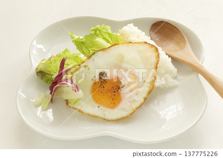 煎蛋飯 煎蛋飯 137775226