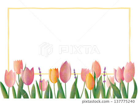 春季鬱金香花田 1 春季鬱金香花田 1 137775240