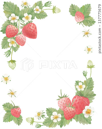 Watercolor strawberry frame 137775679