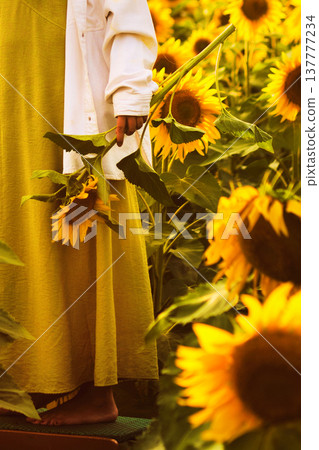 Woman standing in a blooming sunflower field holding freshly cut sunflowers in warm golden sunset light. The peaceful summer moment reflects connection with nature, rural lifestyle and appreciation of Woman standing in a blooming sunflower field holding freshly cut sunflowers in warm golden sunset light. The peaceful summer moment reflects connection with nature, rural lifestyle and appreciation of 137777234