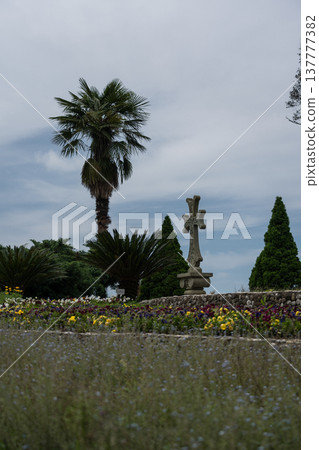 A cross and a palm tree with a view of the sky. Botanical Garden in Georgia 137777382