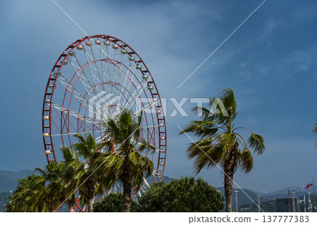 Ferris wheel in Batumi, Georgia Palm trees on the background of the Ferris wheel Ferris wheel in Batumi, Georgia Palm trees on the background of the Ferris wheel 137777383