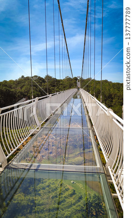 Glass suspension bridge floor with forest below and sky above Cau Kinh Da Lat Vietnam 137777789
